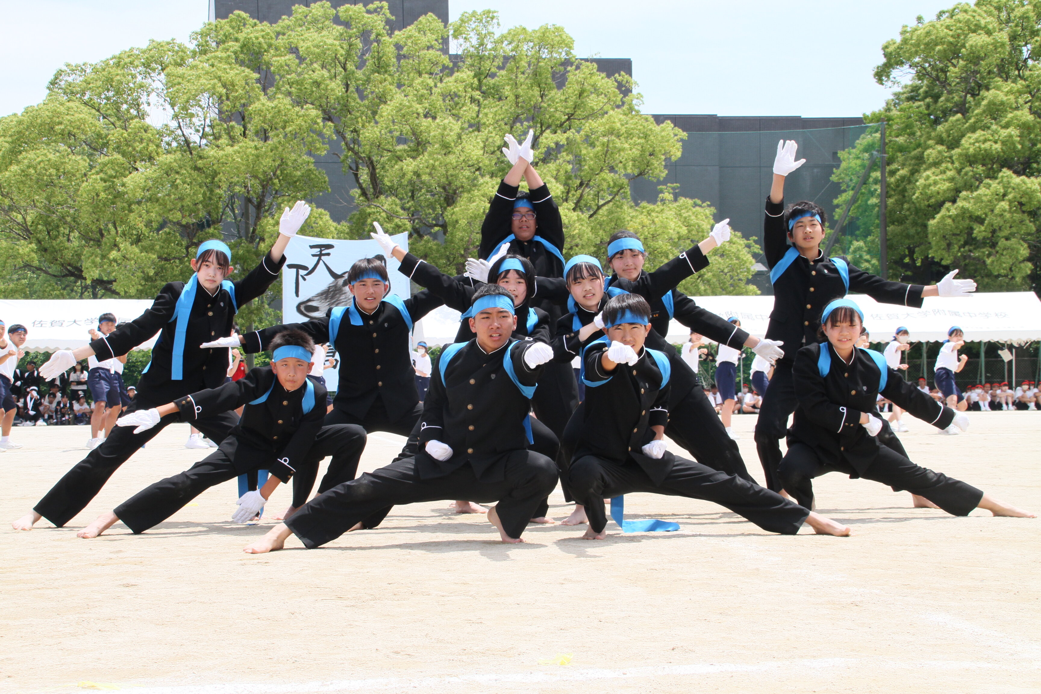 ⑫青軍.JPG